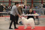 Meilleur de sexe opposé Baby Limoges 2015